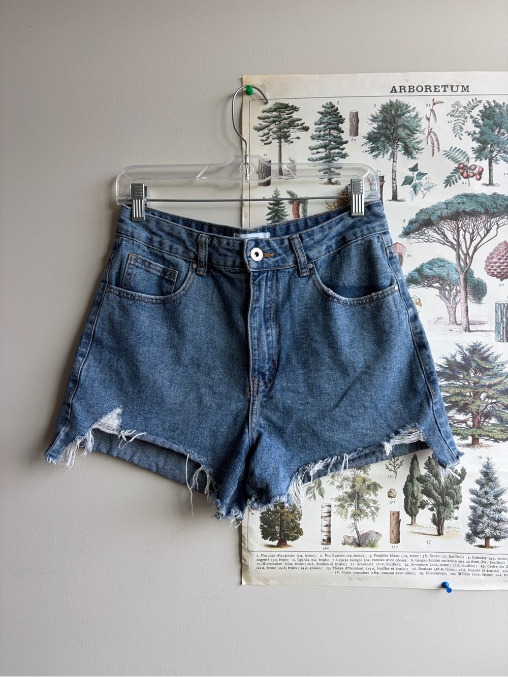 Cotton on Jean shorts size 6